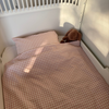 nuuroo By Mats - Junior bed linen Bed linen Blush Check