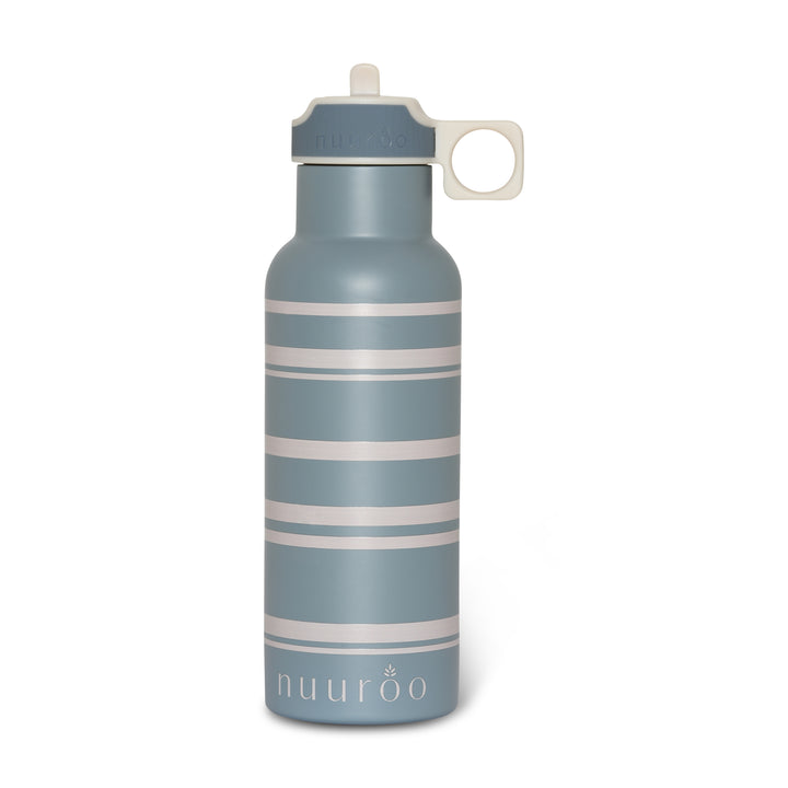 Jurassic World Water Bottle - 600ml, Botella Adultos Unisex