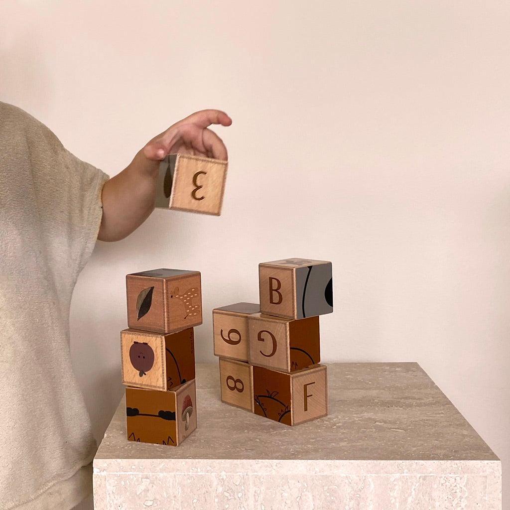 nuuroo Otto bricks Play Time Wooden Mix
