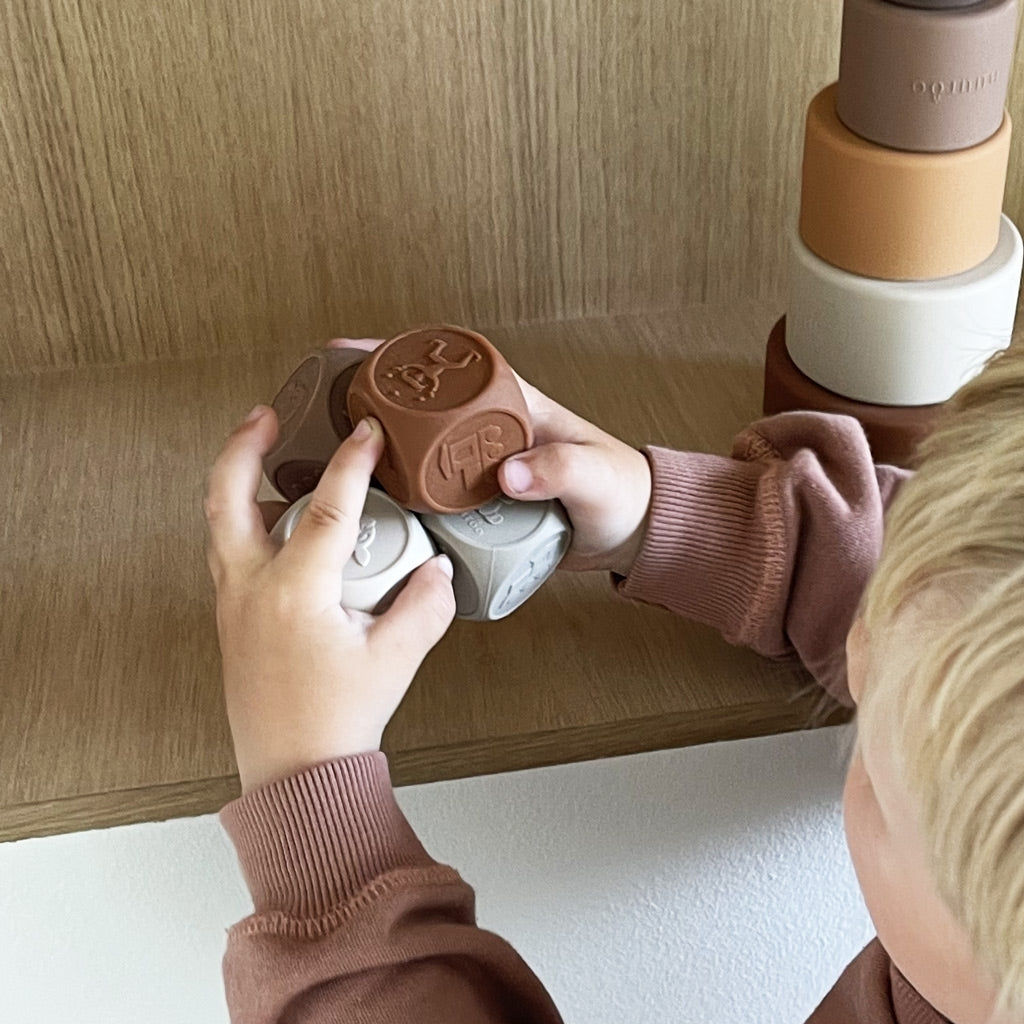 nuuroo Sana silicone dice 4 pack Toy Brown color mix